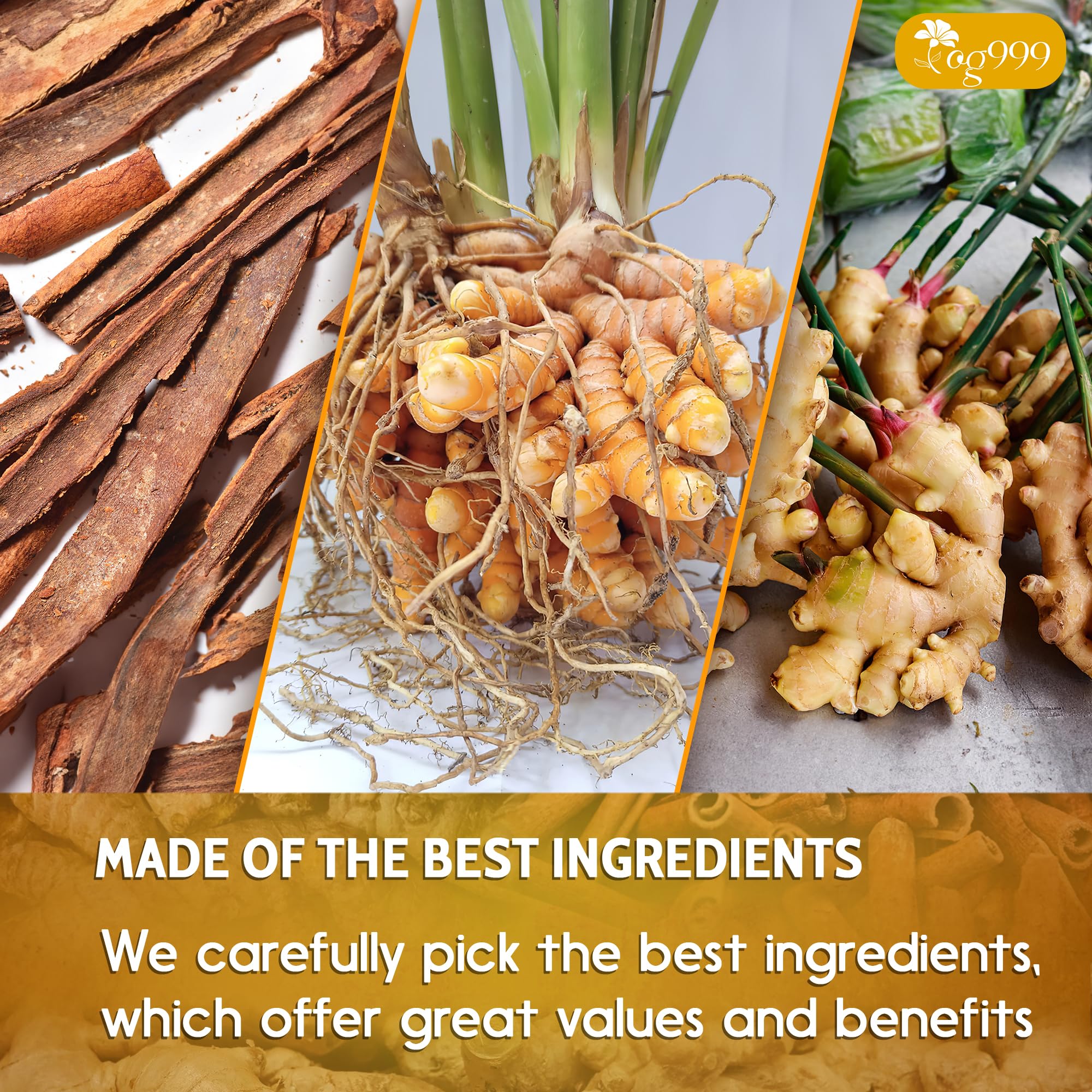 TOG999 biodegradable corn-fiber tea bag material emphasizing eco benefit