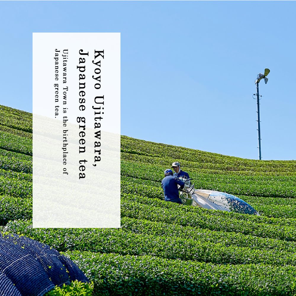 TOMOSAN tea garden in Kyoto showing origin and organic cultivation practices