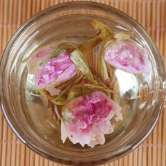 TooGet tea cup steeping pink rose buds showing fragrant infusion and aroma