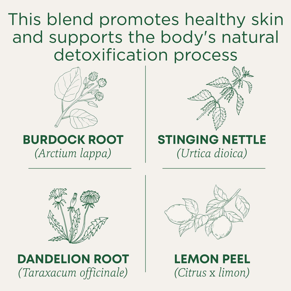 Traditional Medicinals tea bag close-up revealing compostable tag and herbal mix