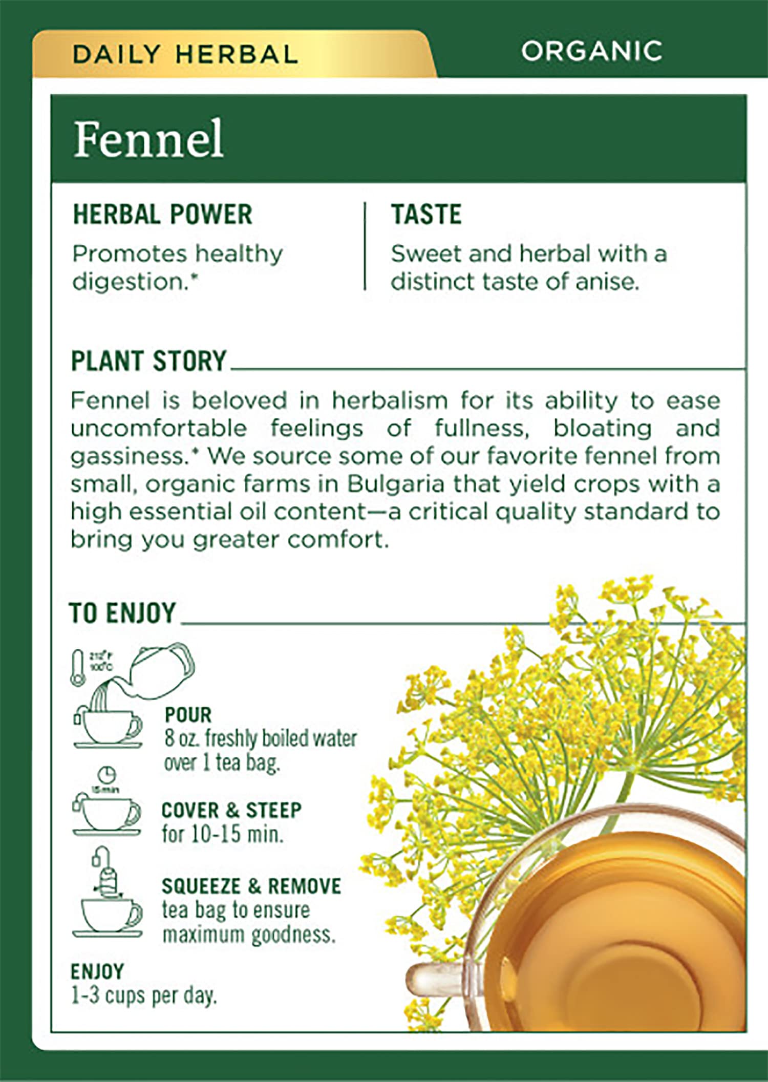 Macro shot of fennel seeds used by Traditional Medicinals, highlights pure ingredient benefit