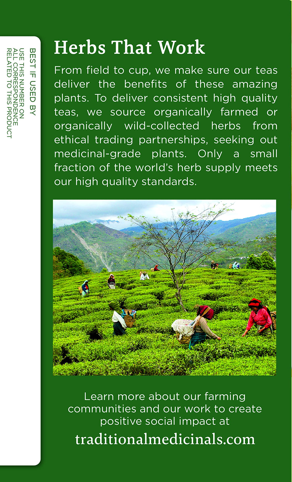 Traditional Medicinals loose ginger root and chamomile flowers display natural ingredients
