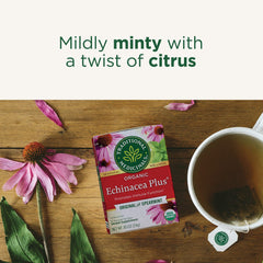 Traditional Medicinals loose blend with visible herbs showing echinacea and elderberry benefit