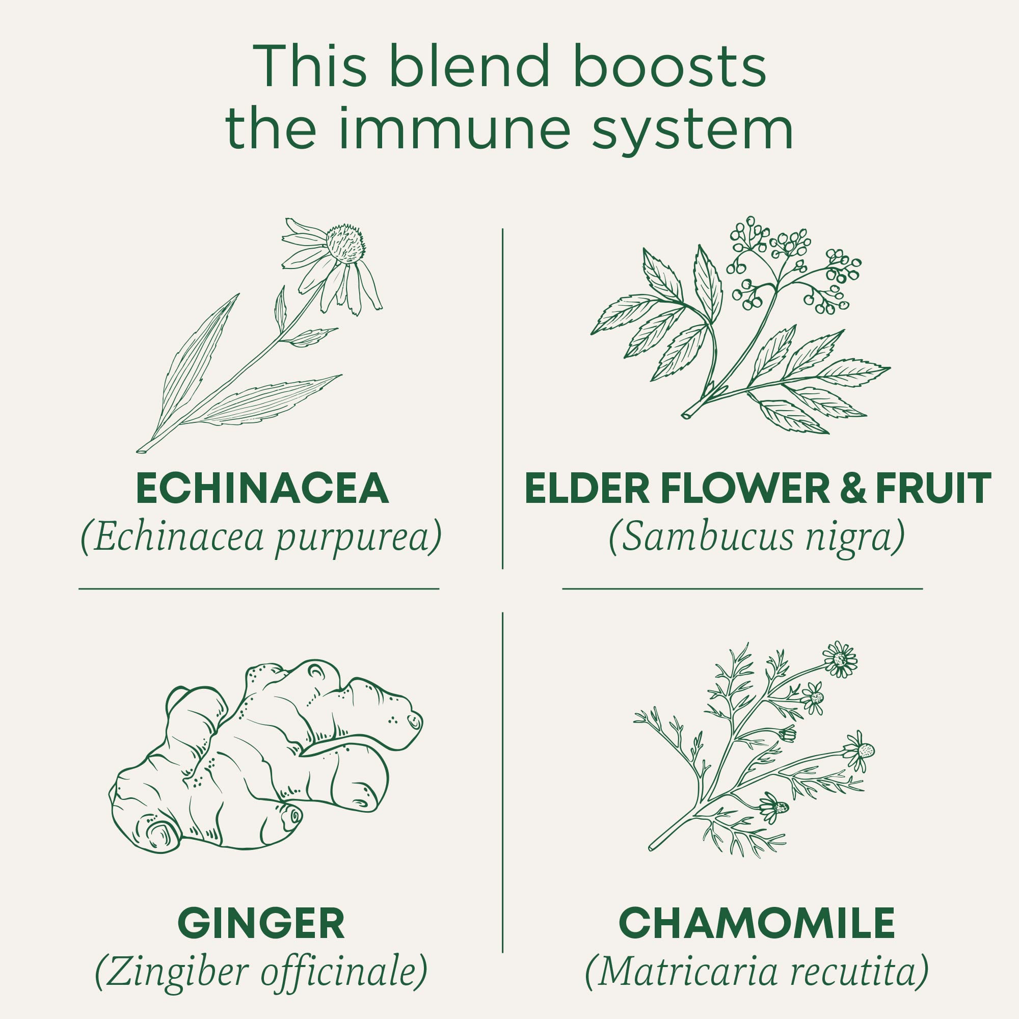 Traditional Medicinals tea bag close-up showing mesh texture and organic herbal blend benefit