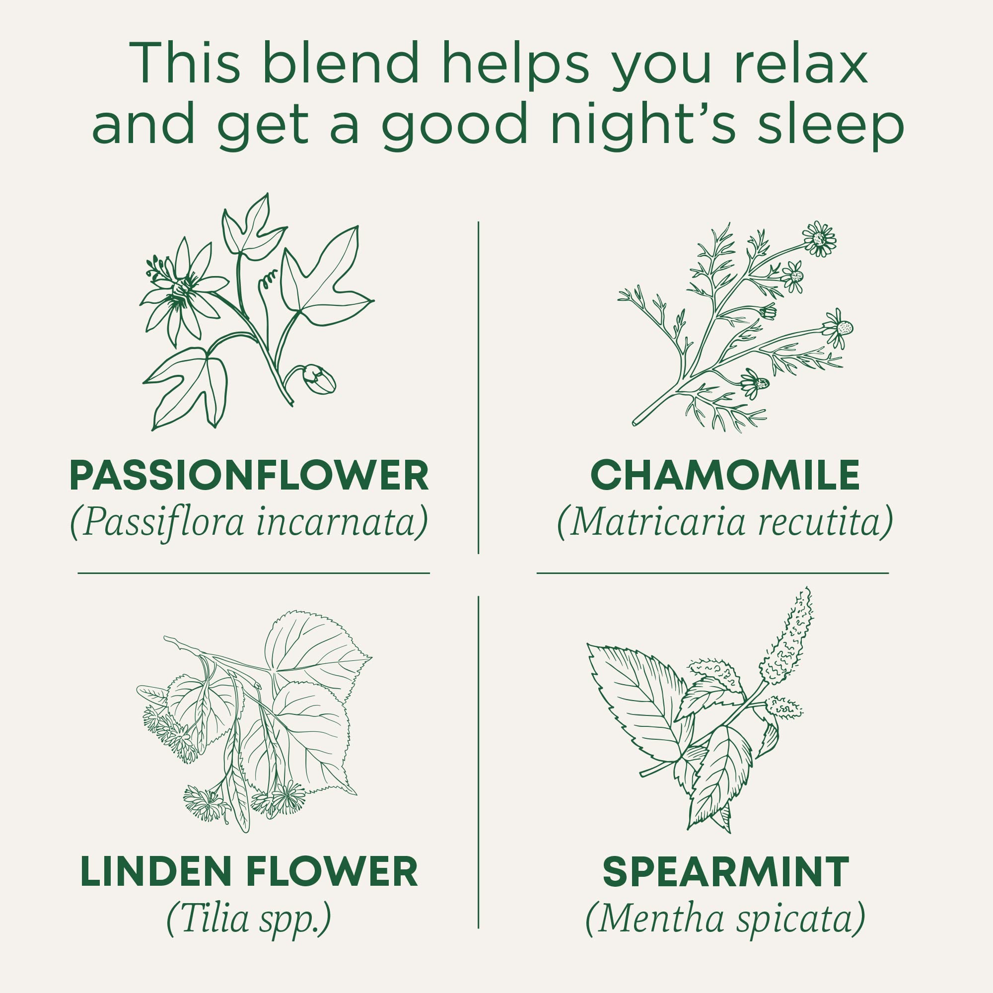 Traditional Medicinals tea bag close-up highlighting compostable material and freshness