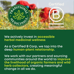 Traditional Medicinals schisandra berries pile showing ingredient origin and natural sourcing