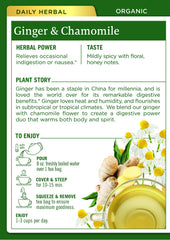 Traditional Medicinals steeped cup emitting steam for soothing digestion relief