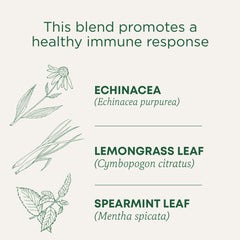 Traditional Medicinals close-up of tea bag texture highlighting compostable material benefit
