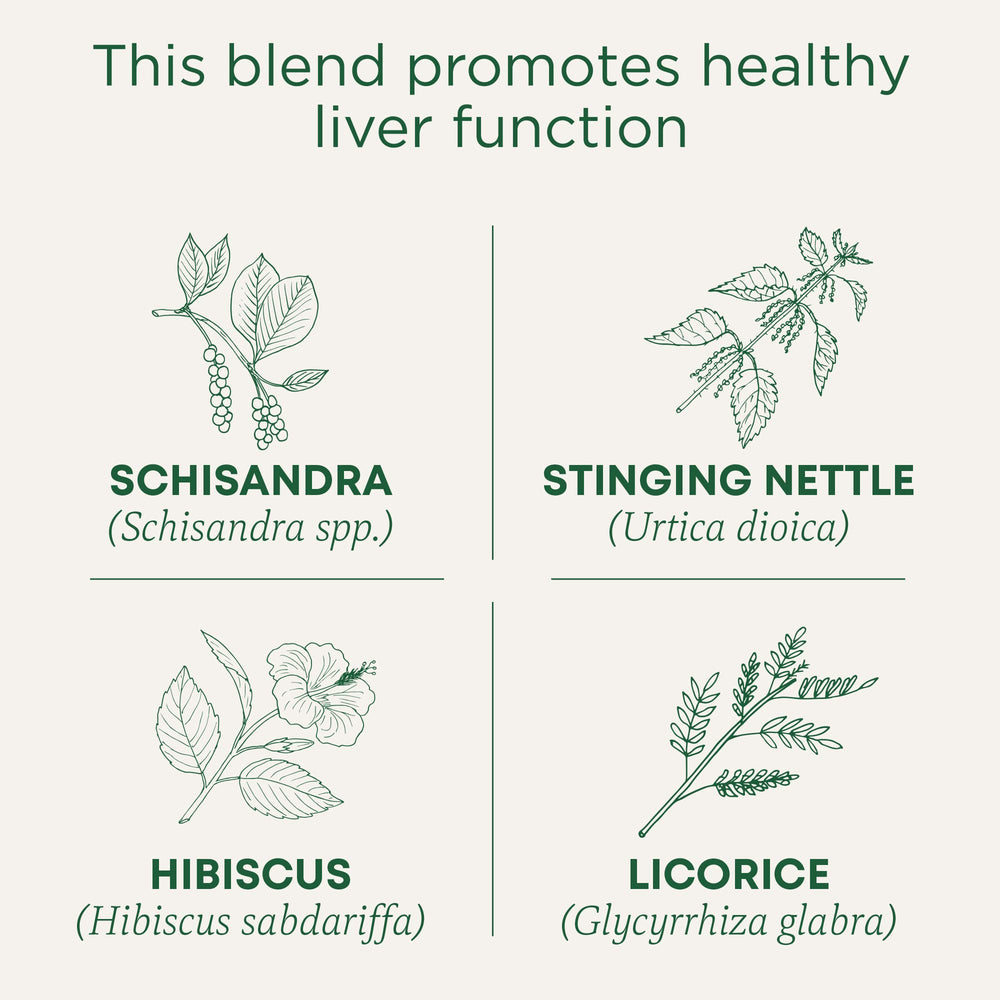 Traditional Medicinals tea bag close-up displays compostable mesh and easy brewing