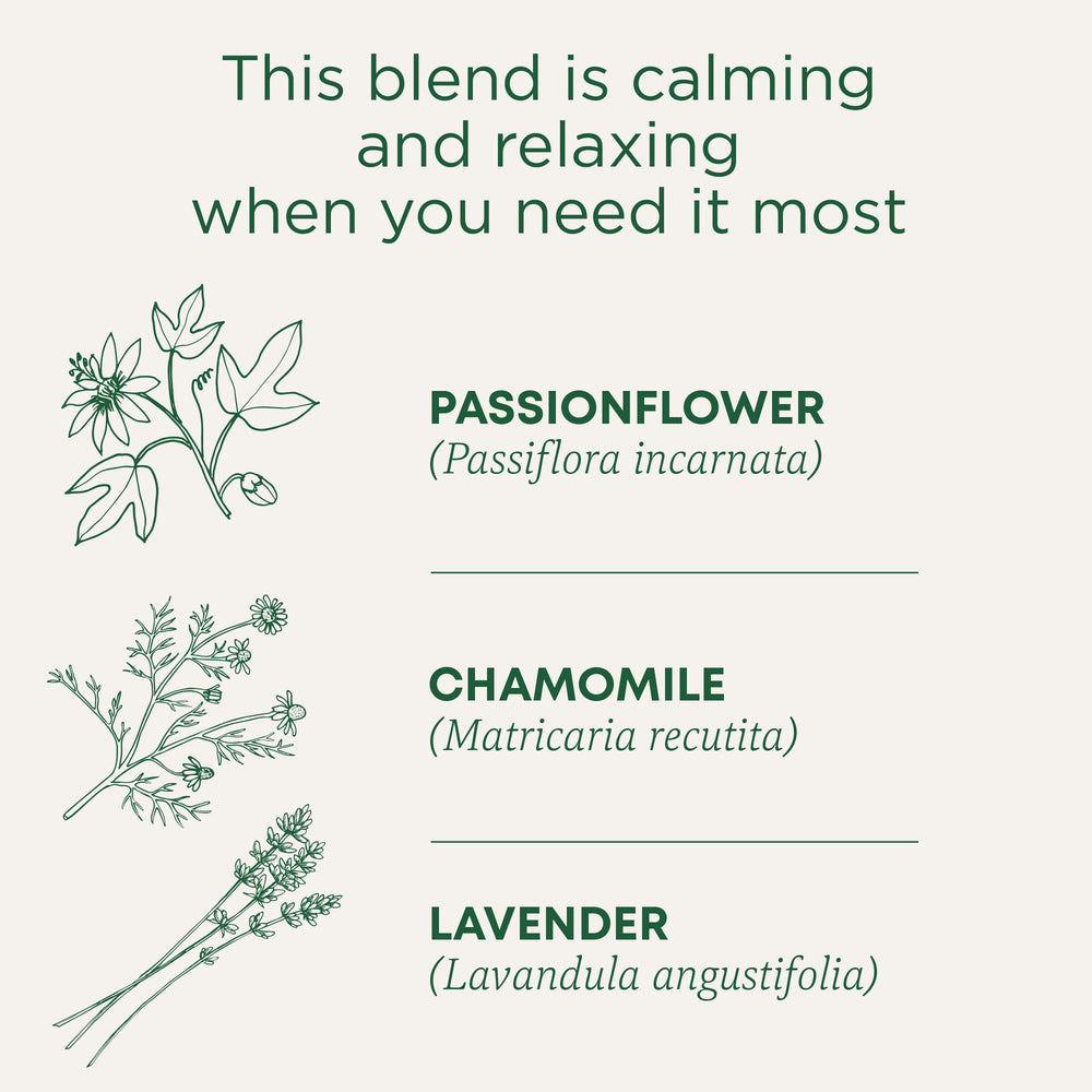 Traditional Medicinals single compostable tea bag closeup showing tag and texture
