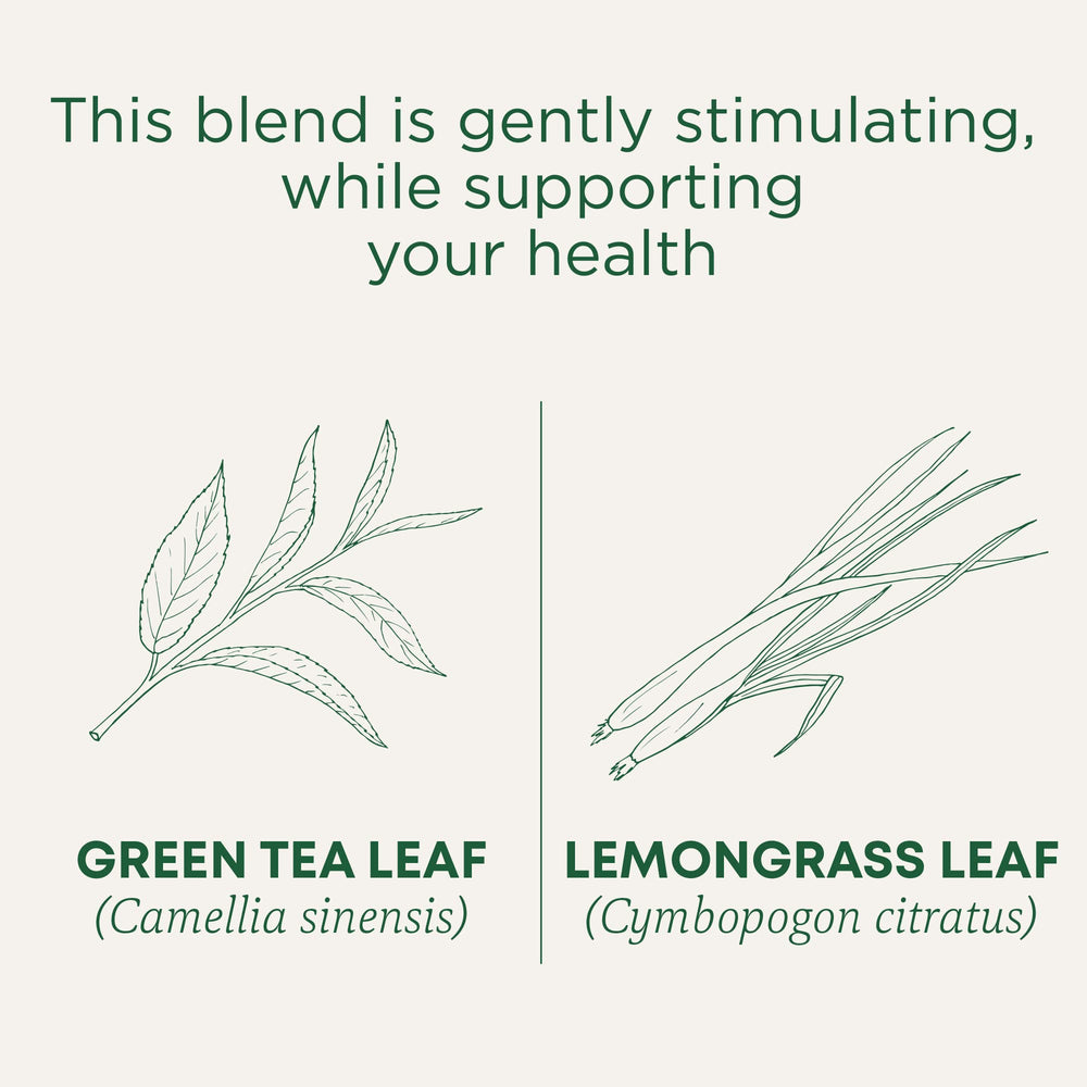 Traditional Medicinals single compostable tea bag close-up for easy brewing