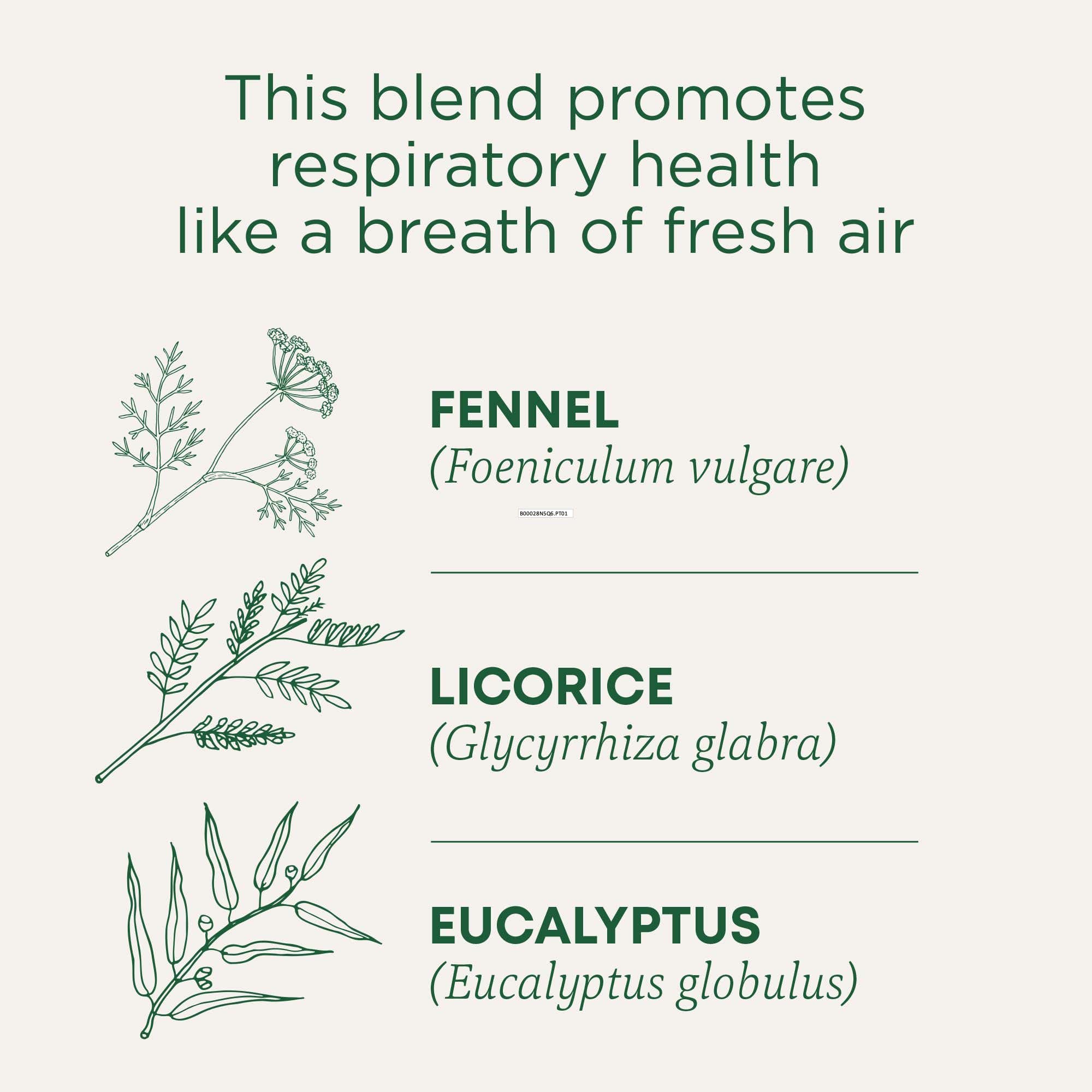 Traditional Medicinals tea bag close-up highlighting compostable wrapper convenience
