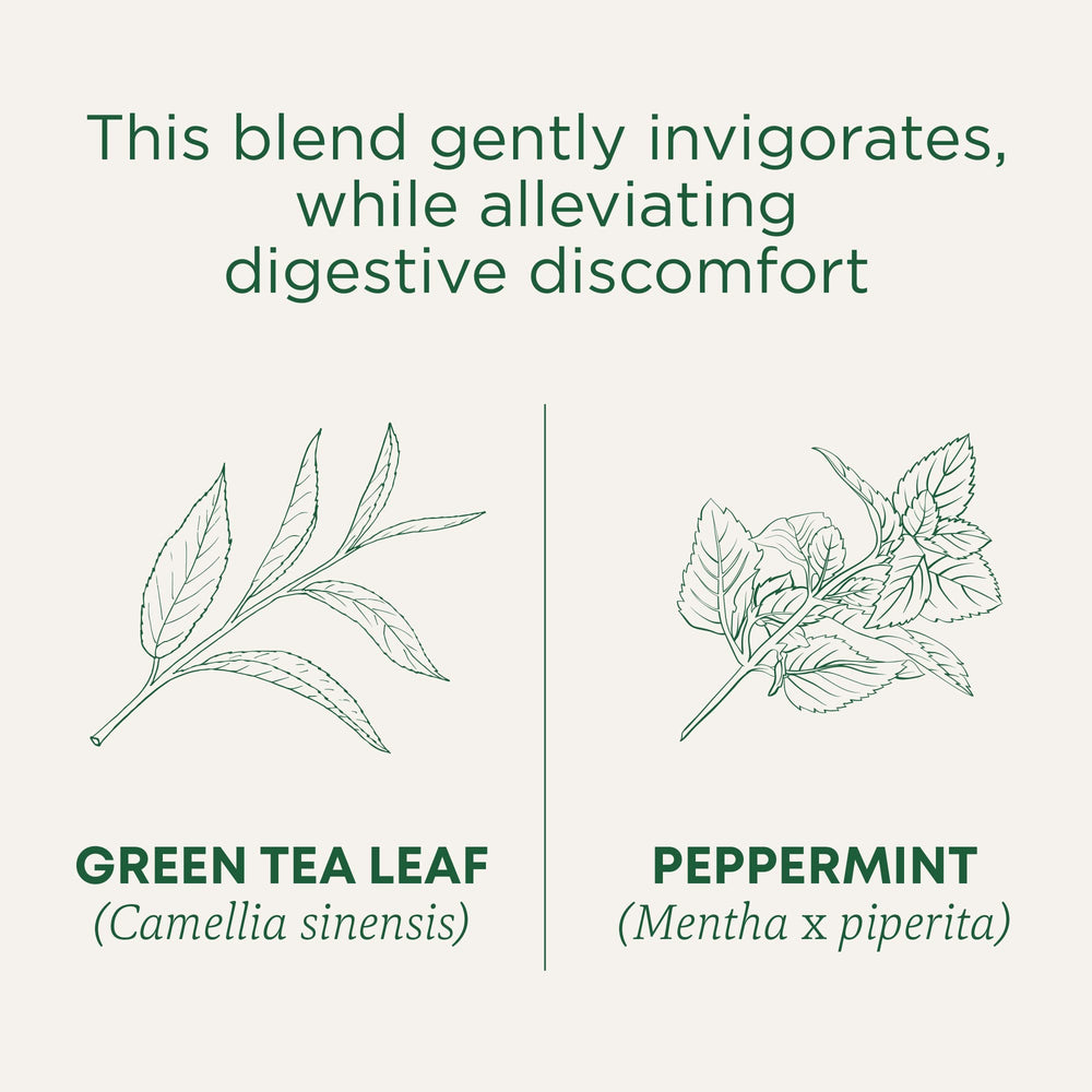 Traditional Medicinals teabag close-up highlighting compostable bag and clean steeping