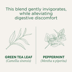 Traditional Medicinals teabag close-up highlighting compostable bag and clean steeping