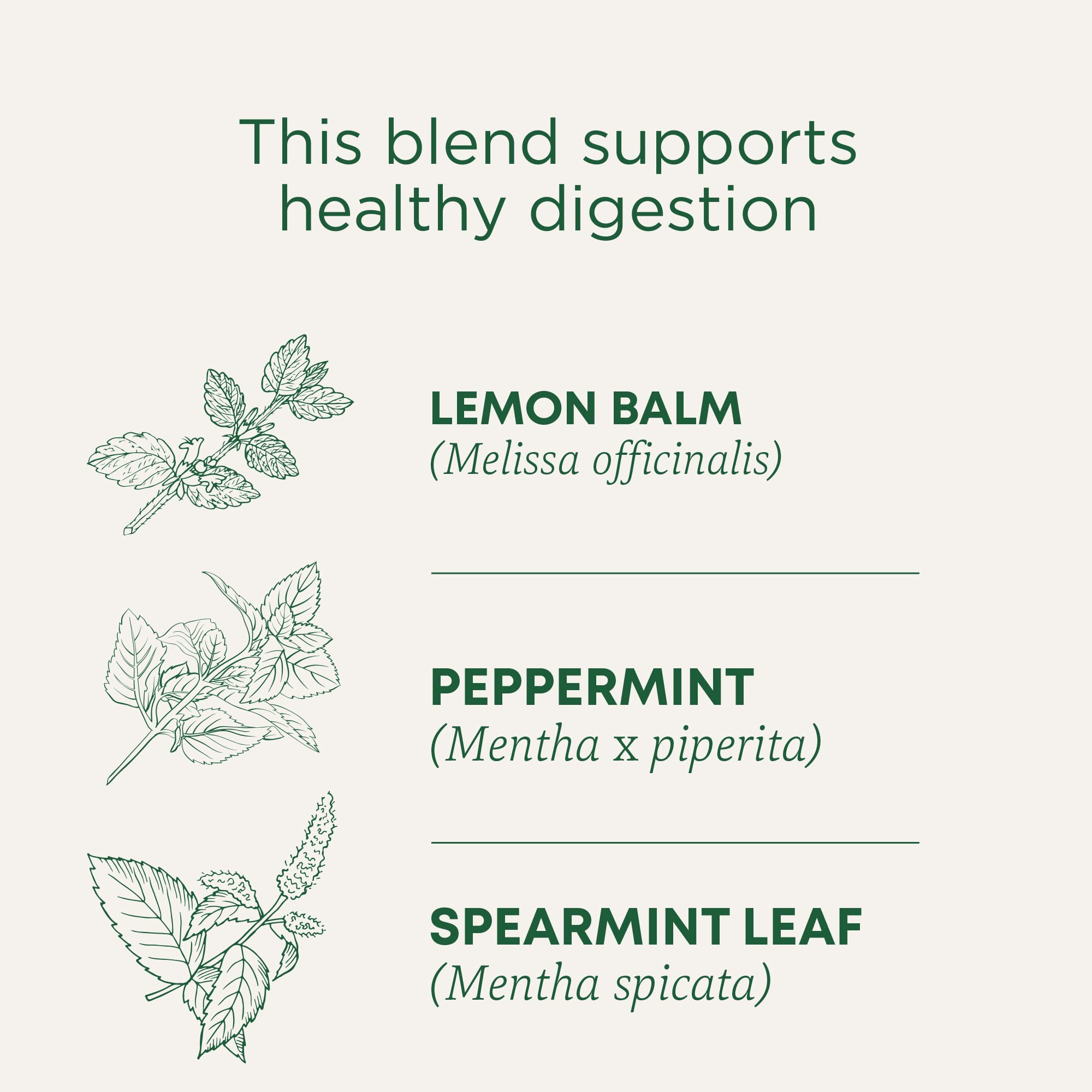 Traditional Medicinals tea bag close-up displaying compostable material and purity benefit