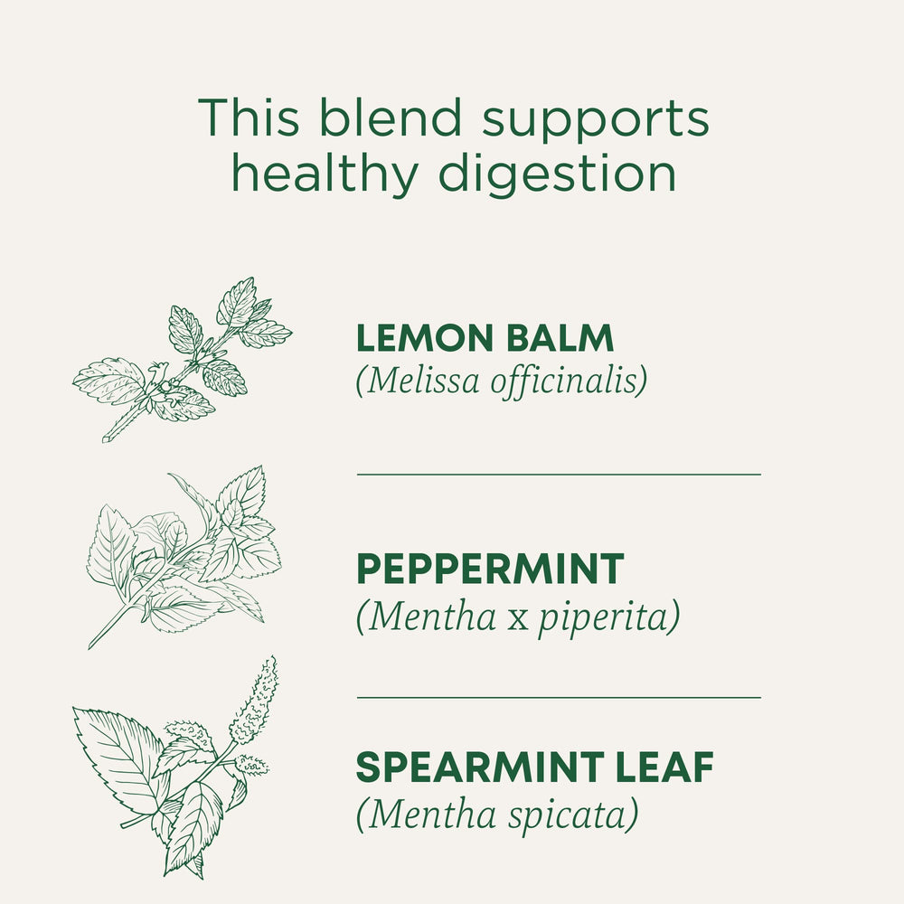 Traditional Medicinals tea bag close-up displaying compostable material and purity benefit