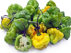 Trelawny Inspirations open jar displaying ground pepper ready to sprinkle