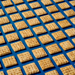Hand holding Triscuit Minis for size comparison and easy portability