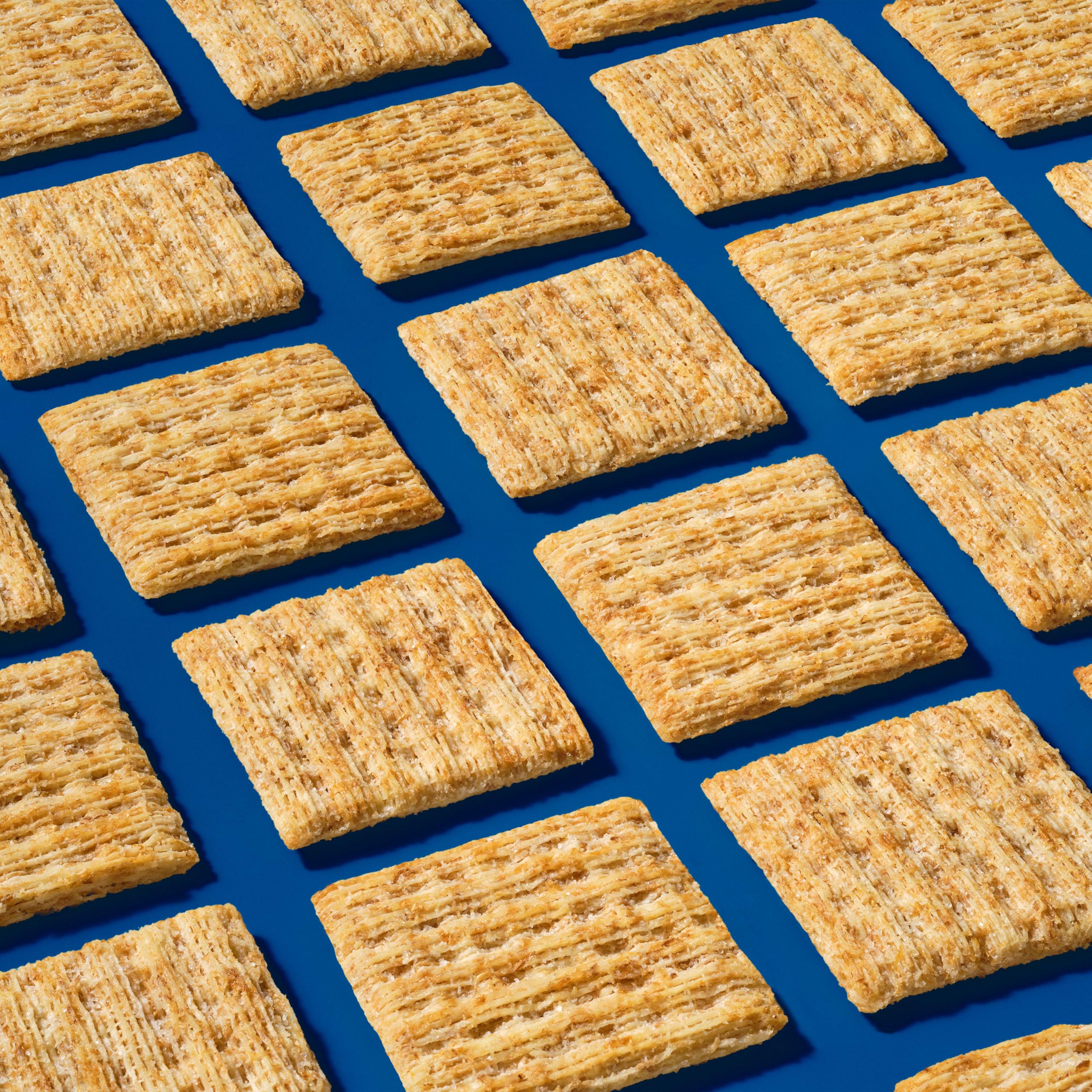 Hand holding Triscuit cracker to show scale and portion size