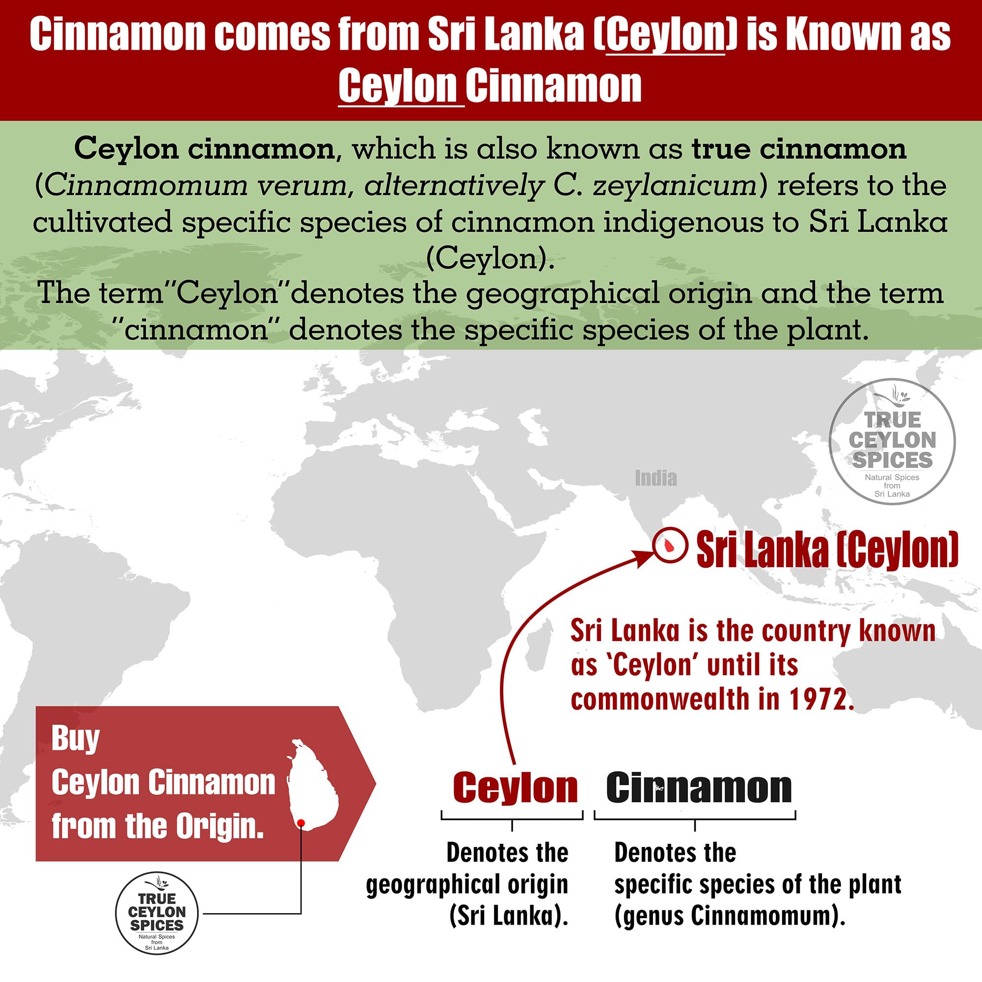 Ground cinnamon sample comparing powder from True Ceylon for mild aroma