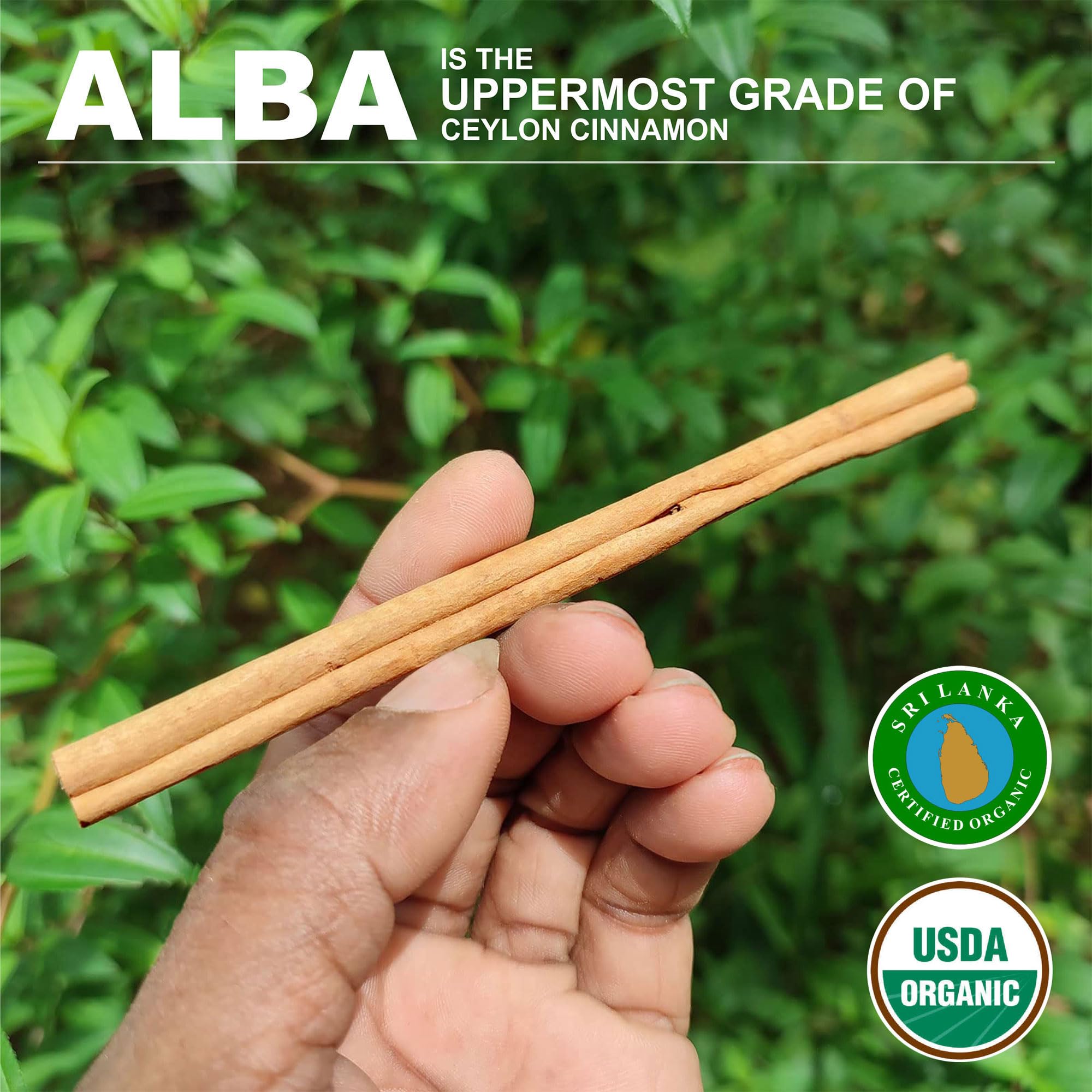 Sticks next to ruler showing True Ceylon 4-inch length for portioning ease