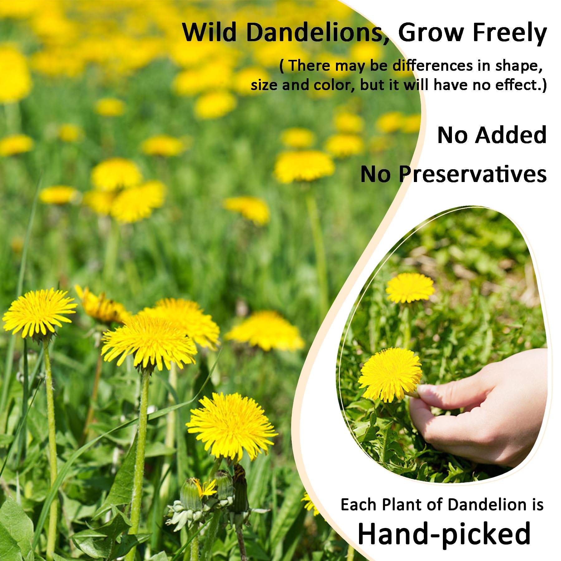 T'SMOMENT iced dandelion serving suggestion showcasing refreshing cold-brew enjoyment