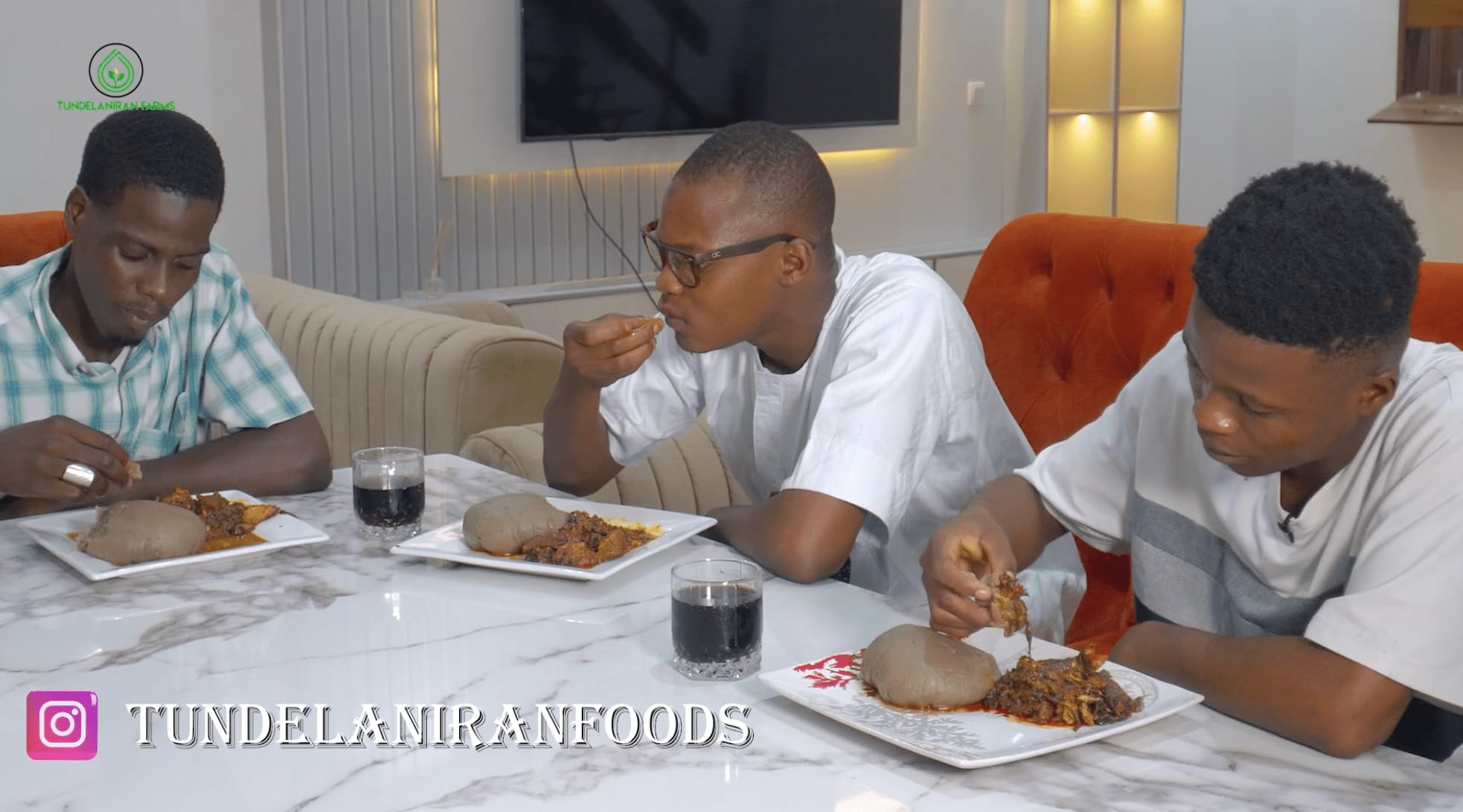 TundeLaniran Foods amala served in bowl beside egusi soup illustrating pairing