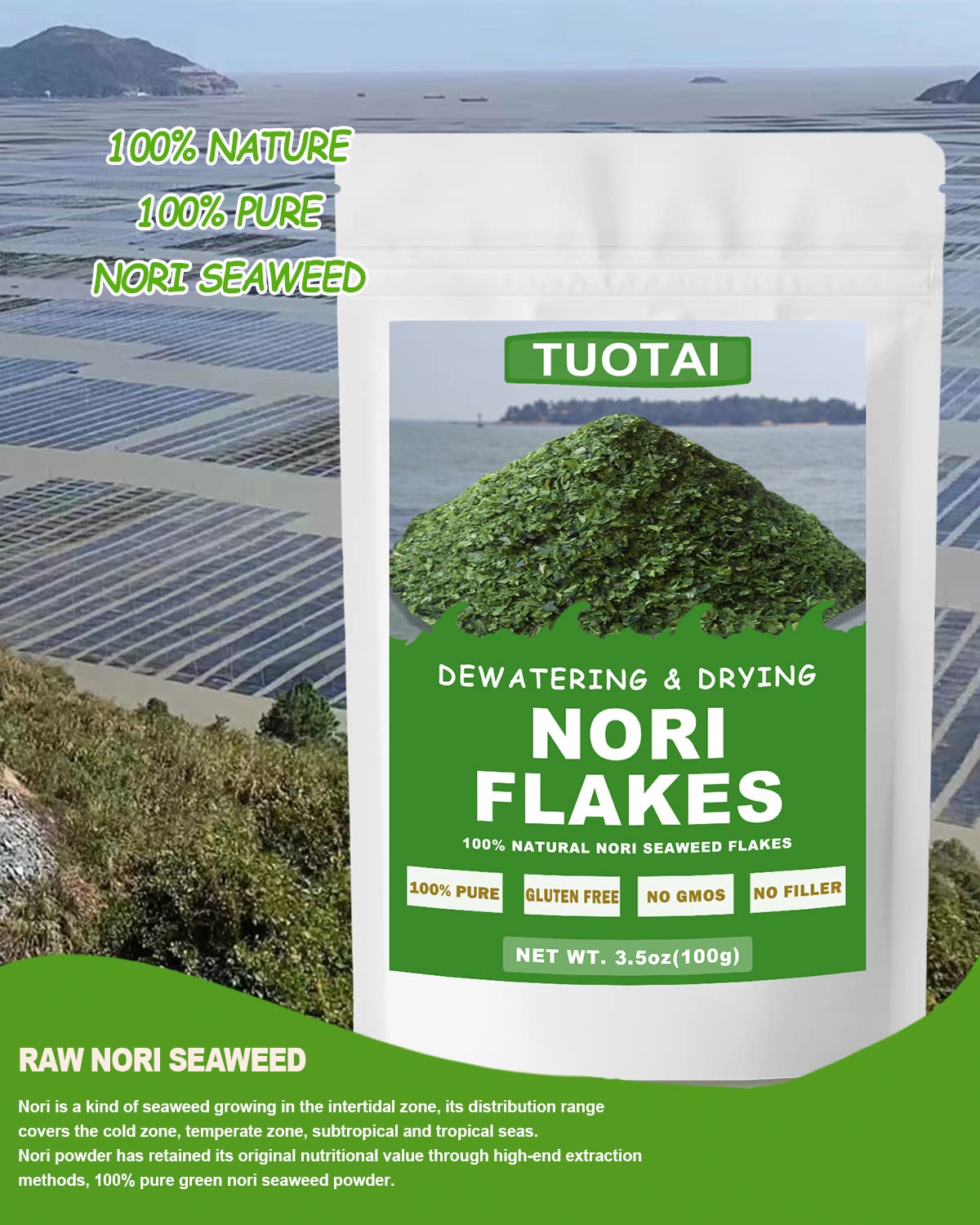 Spoon-sized portion of TUOTAI nori flakes showing serving scale and easy use