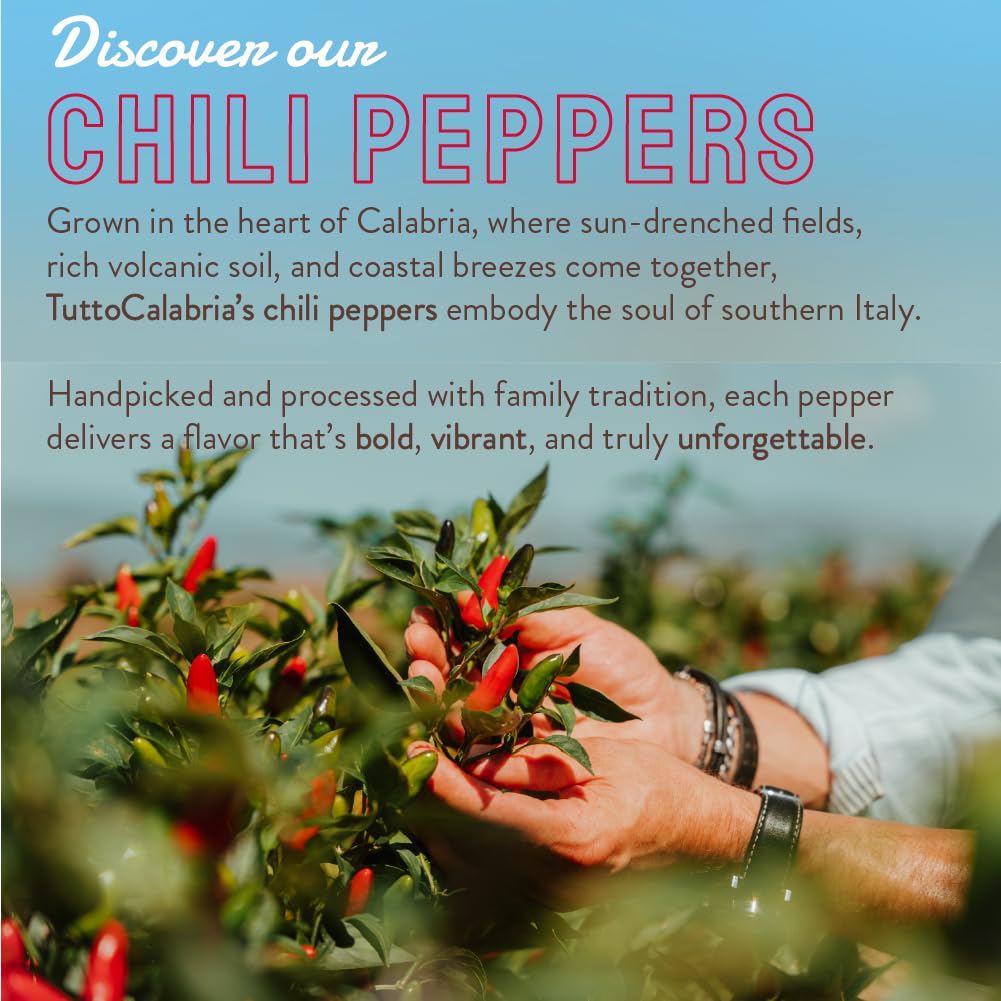 TUTTOCALABRIA jar beside fresh chilies and olive oil showing scale and ingredient quality