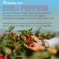 TUTTOCALABRIA jar beside fresh chilies and olive oil showing scale and ingredient quality