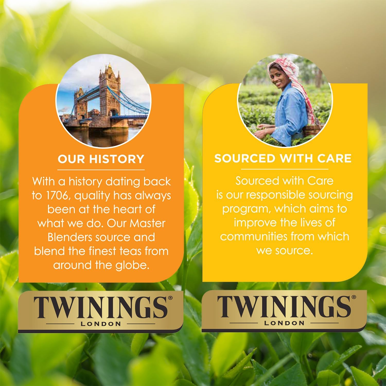 Twinings box open with pods visible conveys ready-to-brew simplicity