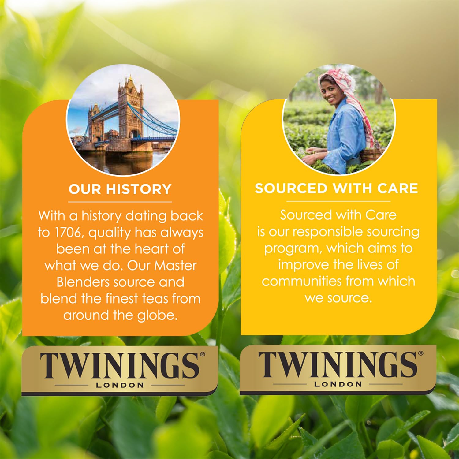 Twinings boxes next to hand for scale, shows pack quantity and size