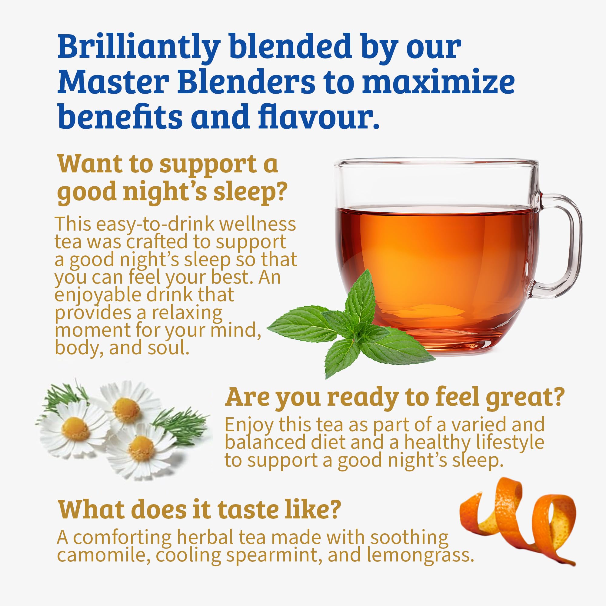 Camomile, spearmint and lemongrass ingredients staged to show Twinings natural herbal blend