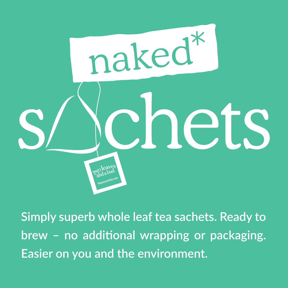 Two Leaves and a Bud iced tea pitcher brewed from sachets for refreshing serving