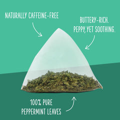 Two Leaves and a Bud sachet steeping in cup offering bright, aromatic brew