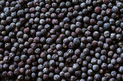 U.S. Wellness Naturals spoon with berries for scale, illustrating bulk quantity benefit