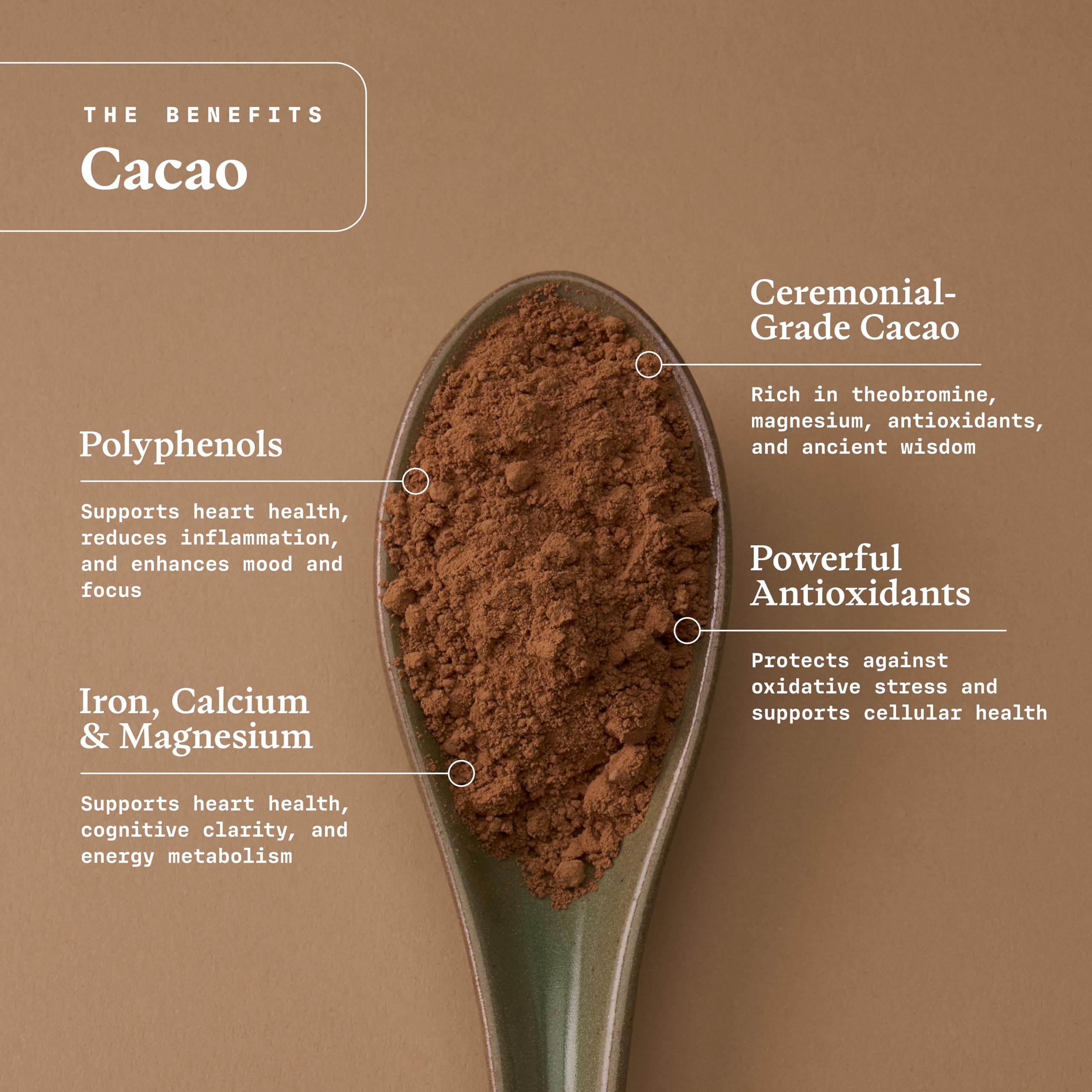 Ultra Life Sport spoonful of cacao powder showing fine texture and versatility