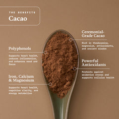 Ultra Life Sport spoonful of cacao powder showing fine texture and versatility