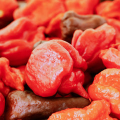 Unpretentious hot sauce bottle made with Reapers showing concentrated heat