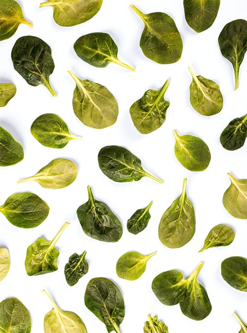 Unpretentious spinach flakes folded into bread dough adding color and flavor