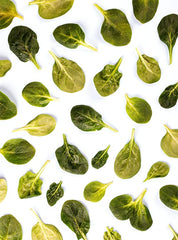 Unpretentious spinach flakes folded into bread dough adding color and flavor