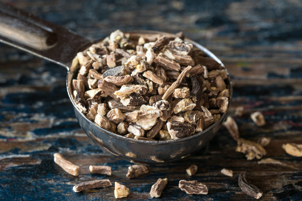 U.S. Wellness Naturals close-up of root texture highlighting increased extraction