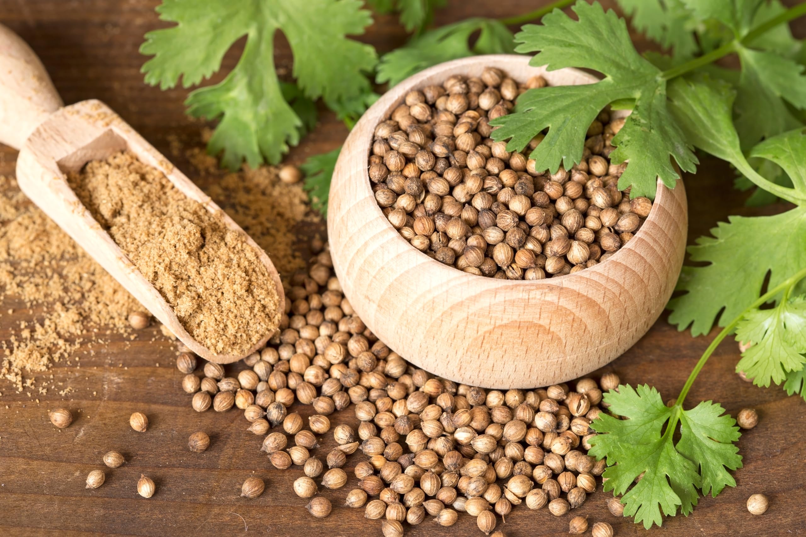 U.S. Wellness Naturals coriander seeds beside a measuring cup showing 1-pound quantity advantage