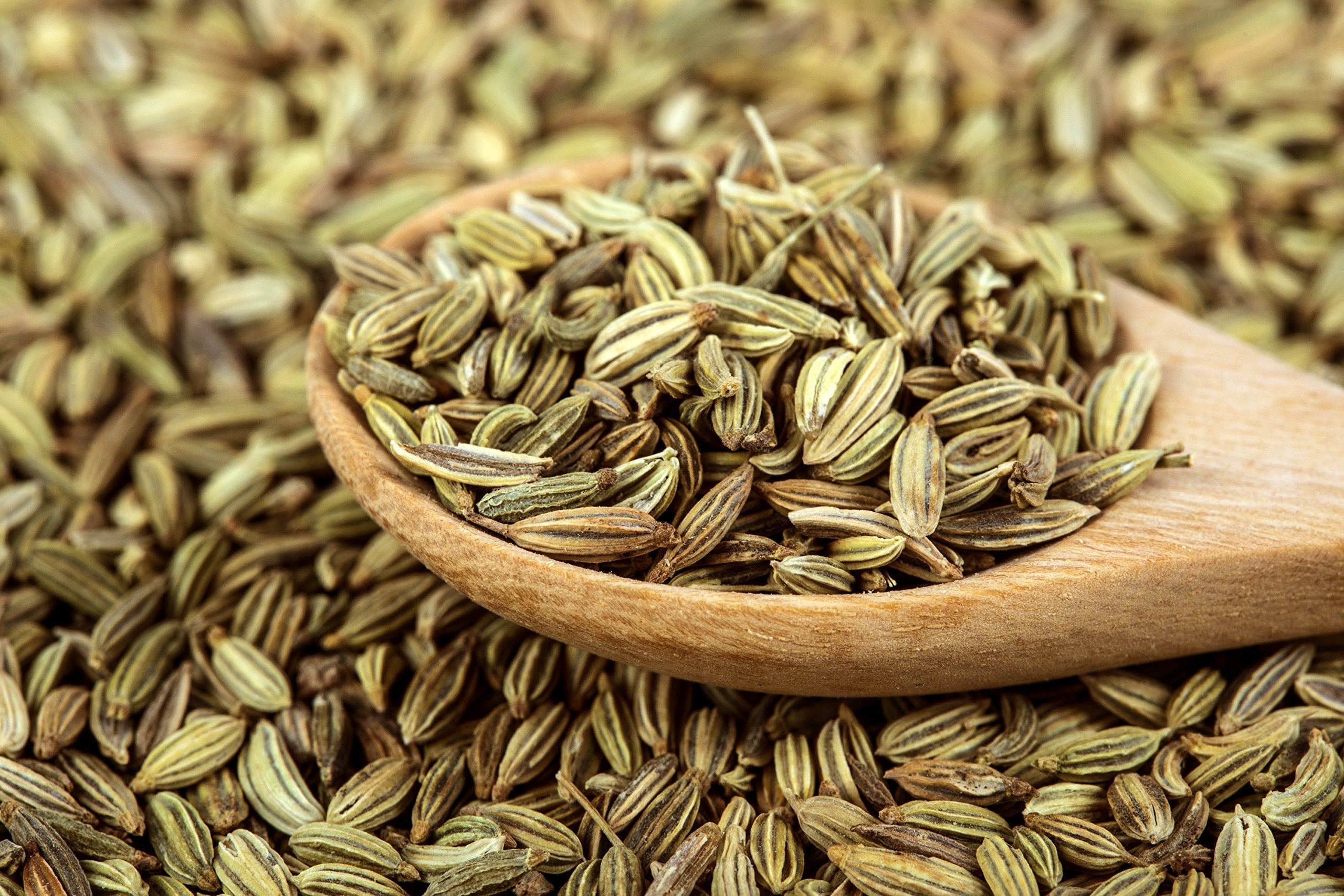 Close-up of fennel seed texture highlighting U.S. Wellness Naturals aroma and freshness