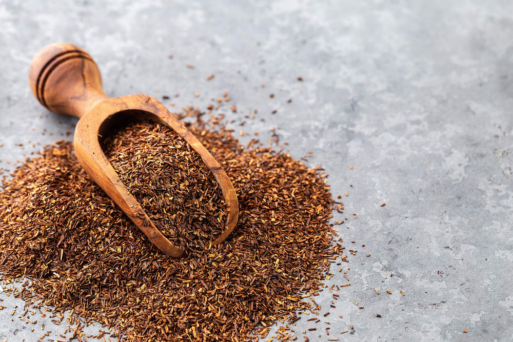 U.S. Wellness Naturals brewing rooibos in French press for rich flavor