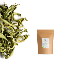 Valley of Tea brewing cup with steaming lemon verbena infusion for relaxation