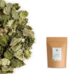 Valley of Tea iced lemon balm tea in pitcher for a refreshing beverage