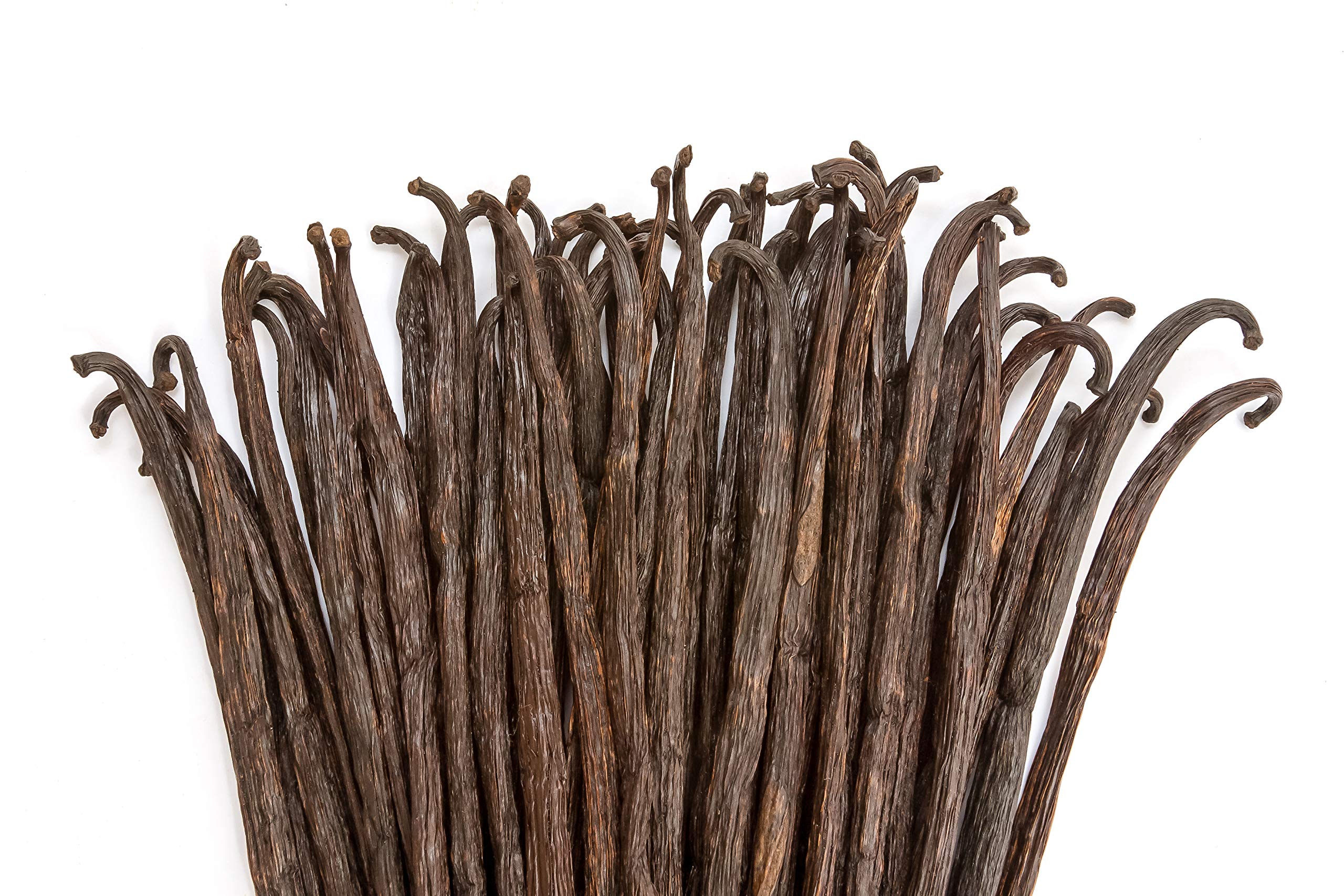 Vanilla Bean Kings close-up of pod texture and seeds highlighting rich aroma