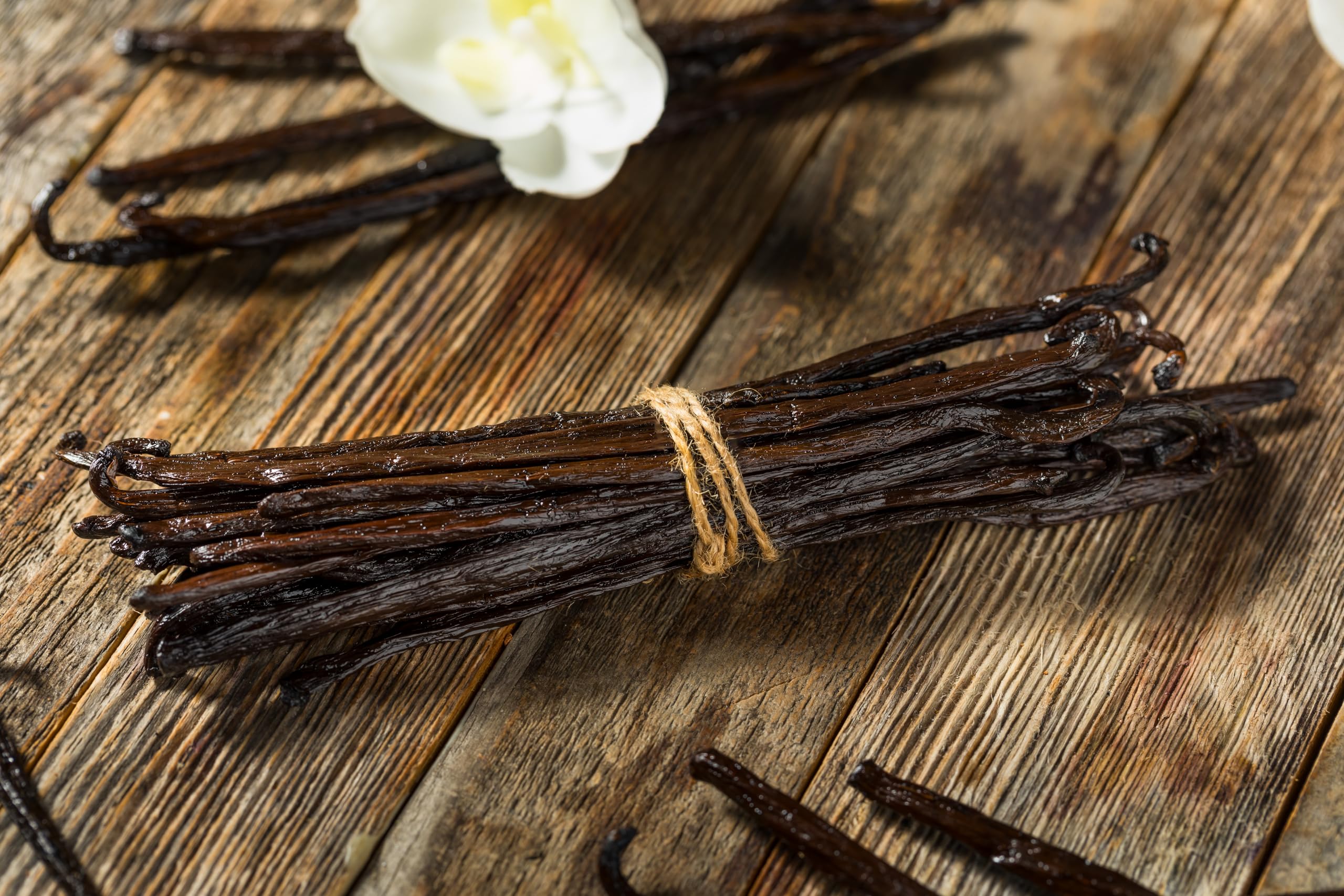 Cream swirled with Vanilla Bean Kings extract displaying smooth rich vanilla ribbons