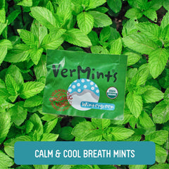 Vermints individually wrapped wintergreen mint held in hand for easy portability
